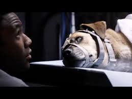 Lazarus Etkisi Fotoğrafı