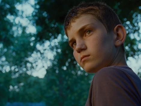 Hayat Ağacı Fotoğrafı