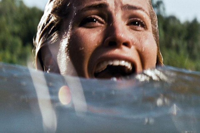 13. Gün Fotoğrafı