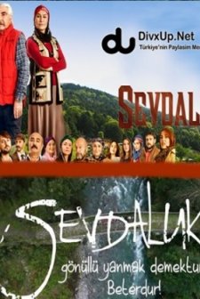 Sevdaluk Sezon 1 (2013) afişi