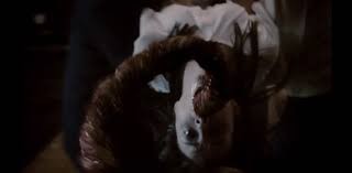 Sessizler Fotoğrafı