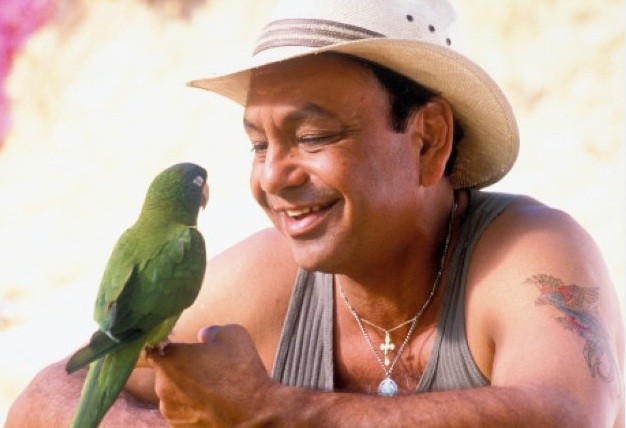 Geveze Papağan Paulie Fotoğrafı