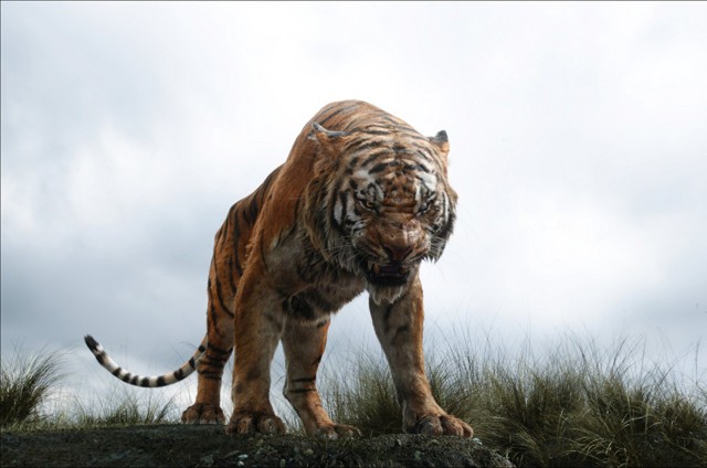 Orman Çocuğu Fotoğrafı