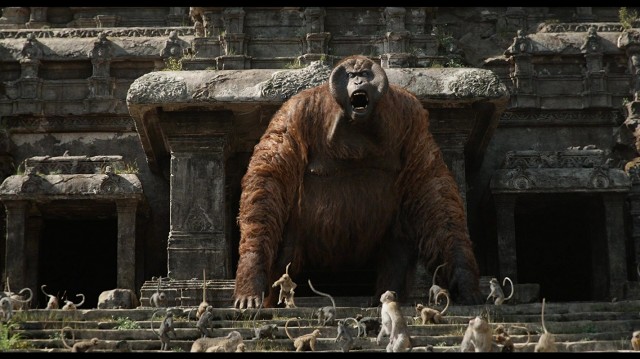 Orman Çocuğu Fotoğrafı