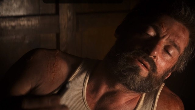 Logan Fotoğrafı