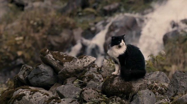 Bizum Hoca Fotoğrafı
