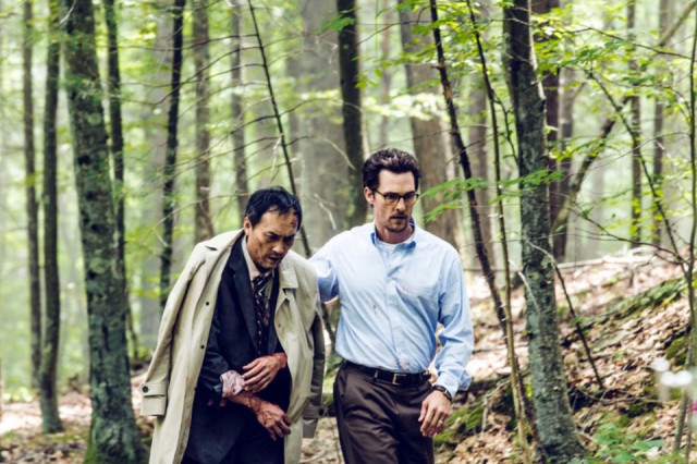 Sonsuzluk Ormanı Fotoğrafı