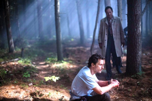 Sonsuzluk Ormanı Fotoğrafı