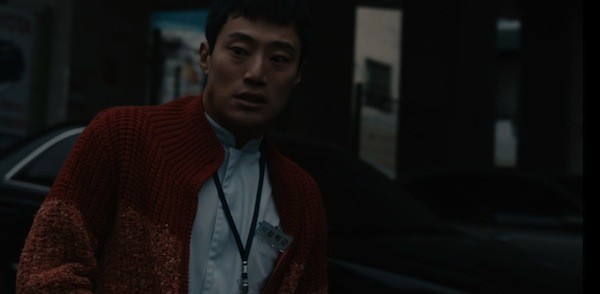 Dear Dolphin Fotoğrafı