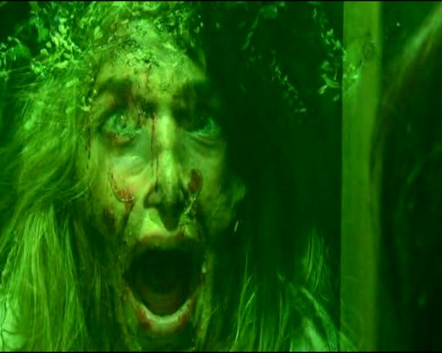 The Cellar Door Fotoğrafı