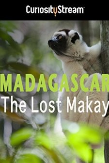 Madagaskar (2011) afişi