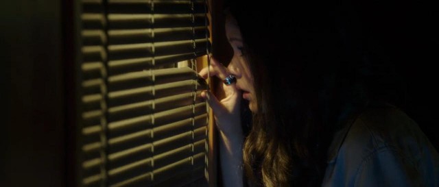 Kan Bağı Fotoğrafı