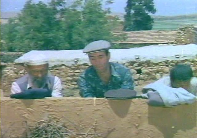 Kibar Feyzo fotoğrafı