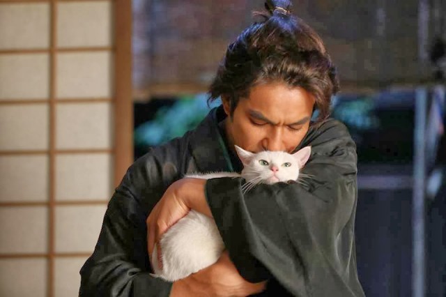 Neko Zamurai Fotoğrafı