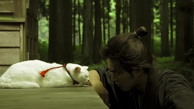 Neko Zamurai Fotoğrafı