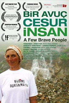 Bir Avuç Cesur İnsan (2012) afişi