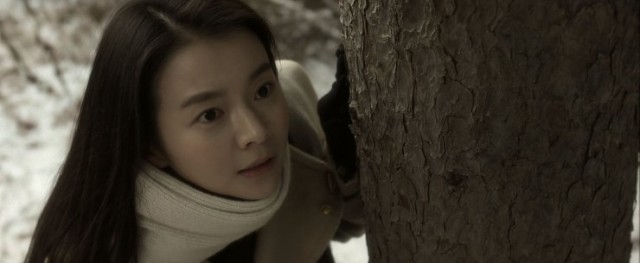 The Avian Kind Fotoğrafı