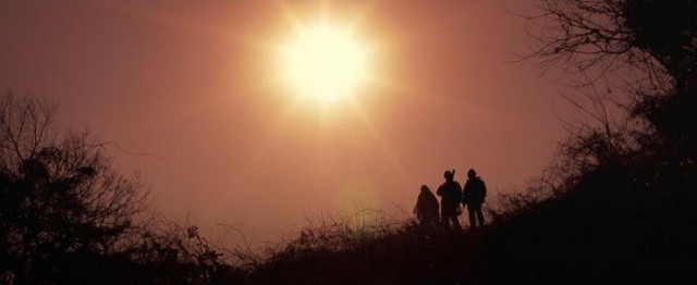 The Avian Kind Fotoğrafı