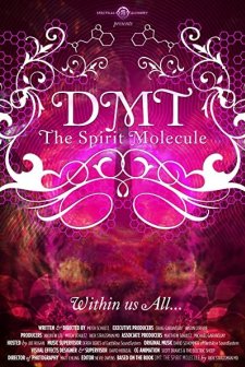 DMT: The Spirit Molecule (2010) afişi