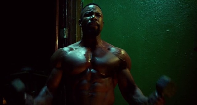 Falcon Rising Fotoğrafı