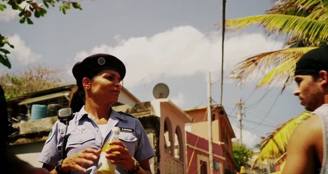 Falcon Rising Fotoğrafı