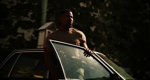 Falcon Rising Fotoğrafı