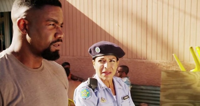 Falcon Rising Fotoğrafı