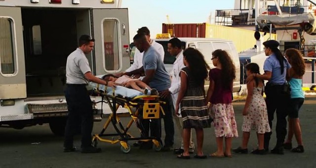 Falcon Rising Fotoğrafı