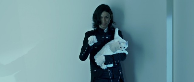 Black Butler Fotoğrafı