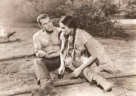 The Oregon Trail fotoğrafı