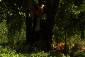 Bir Kaplumbağa ile Tavşan Hikayesi Fotoğrafı