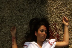 Bir Kaplumbağa ile Tavşan Hikayesi Fotoğrafı