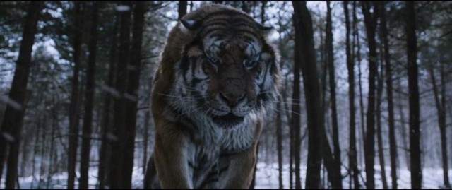 The Tiger Fotoğrafı