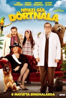 Niyazi Gül Dörtnala (2015) afişi