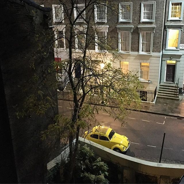 Ayı Paddington 2 Fotoğrafı