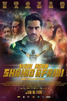 Main Hoon Shahid Afridi (2013) afişi