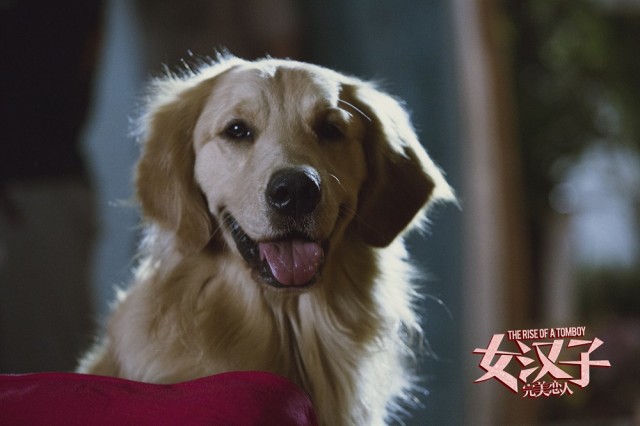 The Rise of A Tomboy Fotoğrafı