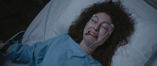 Hannas: Karanlıkta Saklanan Fotoğrafı