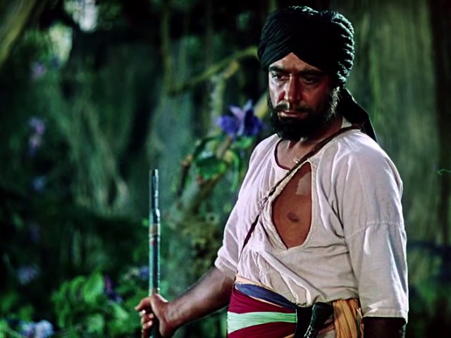 Ormanın Kitabı Fotoğrafı