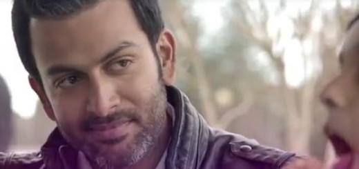 Picket 43 Fotoğrafı