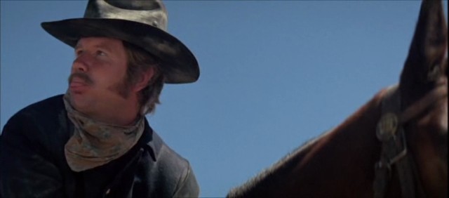 Mavi Askerler Fotoğrafı