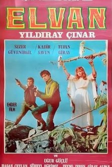 Elvan (1971) afişi