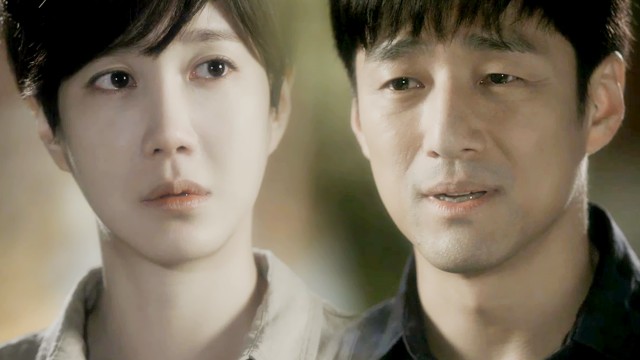 Snow Lotus fotoğrafı