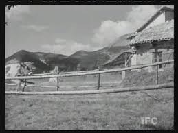 Yasak Oyunlar Fotoğrafı