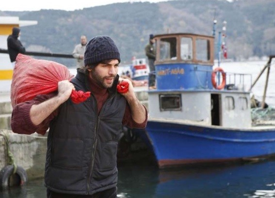 Kış Güneşi Fotoğrafı