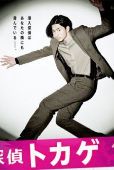 Undercover Agent Lizard (2013) afişi