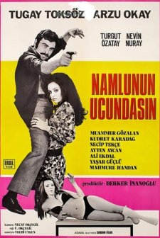 Namlunun Ucundasın (1971) afişi