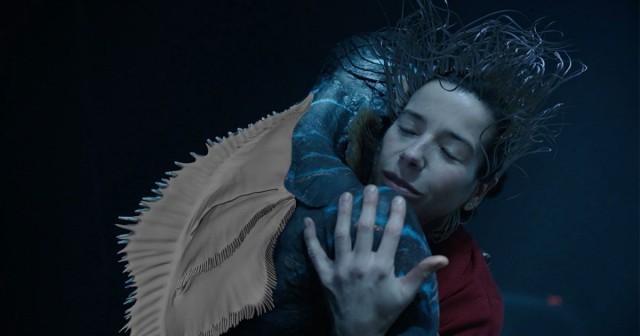 Suyun Sesi Fotoğrafı