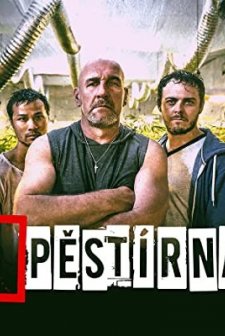 Pestírna (2017) afişi