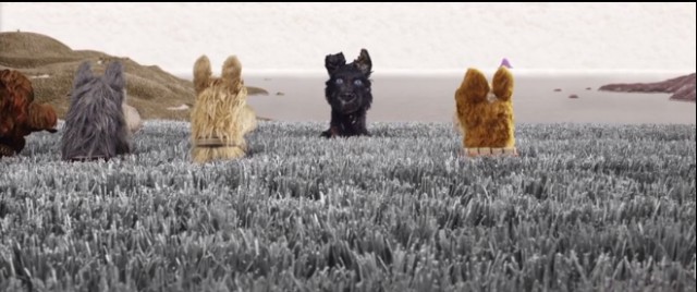 Köpek Adası Fotoğrafı